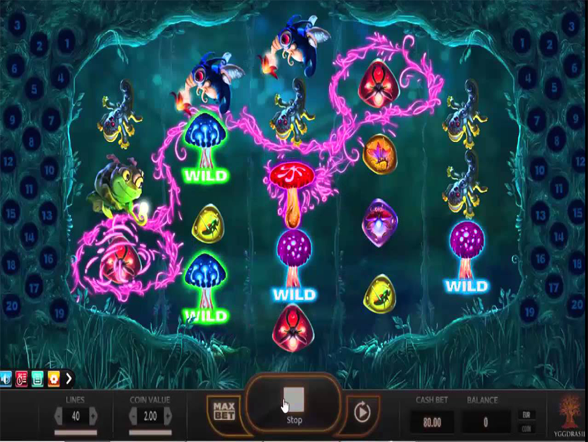 Magic Mushrooms von Yggdrasil