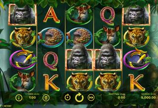 Gorilla Kingdom Spielautomat